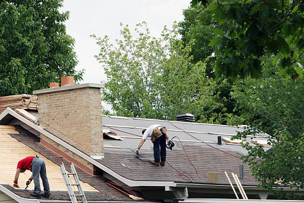 Best Shingle Roofing Installation  in Thompsons Station, TN